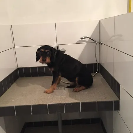 Artgerecht Ferienhaeuser * バート・ベルレブルク