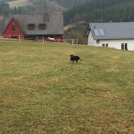 Artgerecht Ferienhaeuser