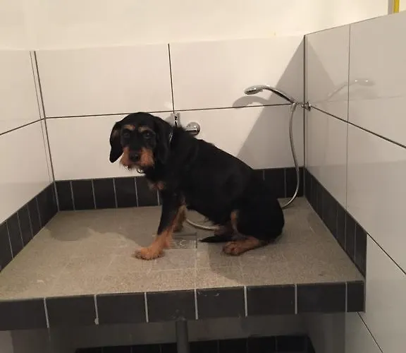 Artgerecht Ferienhaeuser * Bad Berleburg