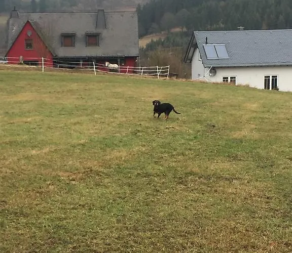 Artgerecht Ferienhaeuser